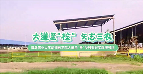 大道至簡，三農(nóng)情牽：青島農(nóng)業(yè)大學(xué)動(dòng)物醫(yī)學(xué)院鄉(xiāng)村振興實(shí)踐服務(wù)團(tuán)走訪養(yǎng)殖天地