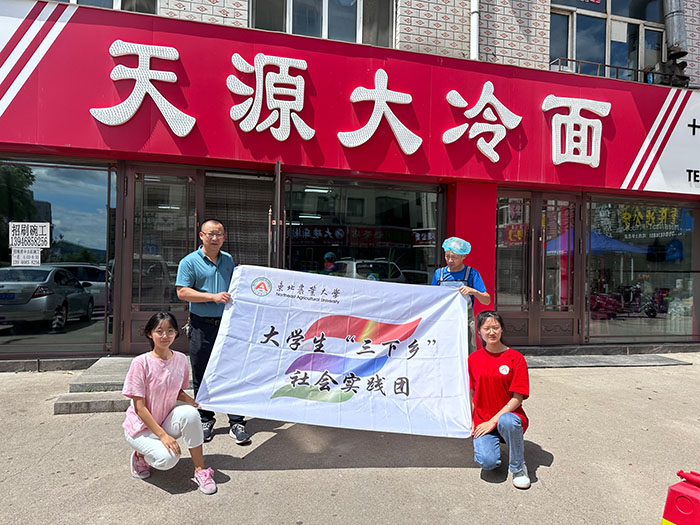 “烈日炎炎，冷面纖纖”非遺之味——東北農(nóng)業(yè)大學(xué)國際文化教育學(xué)院大學(xué)生“三下鄉(xiāng)”社會實踐紀(jì)實