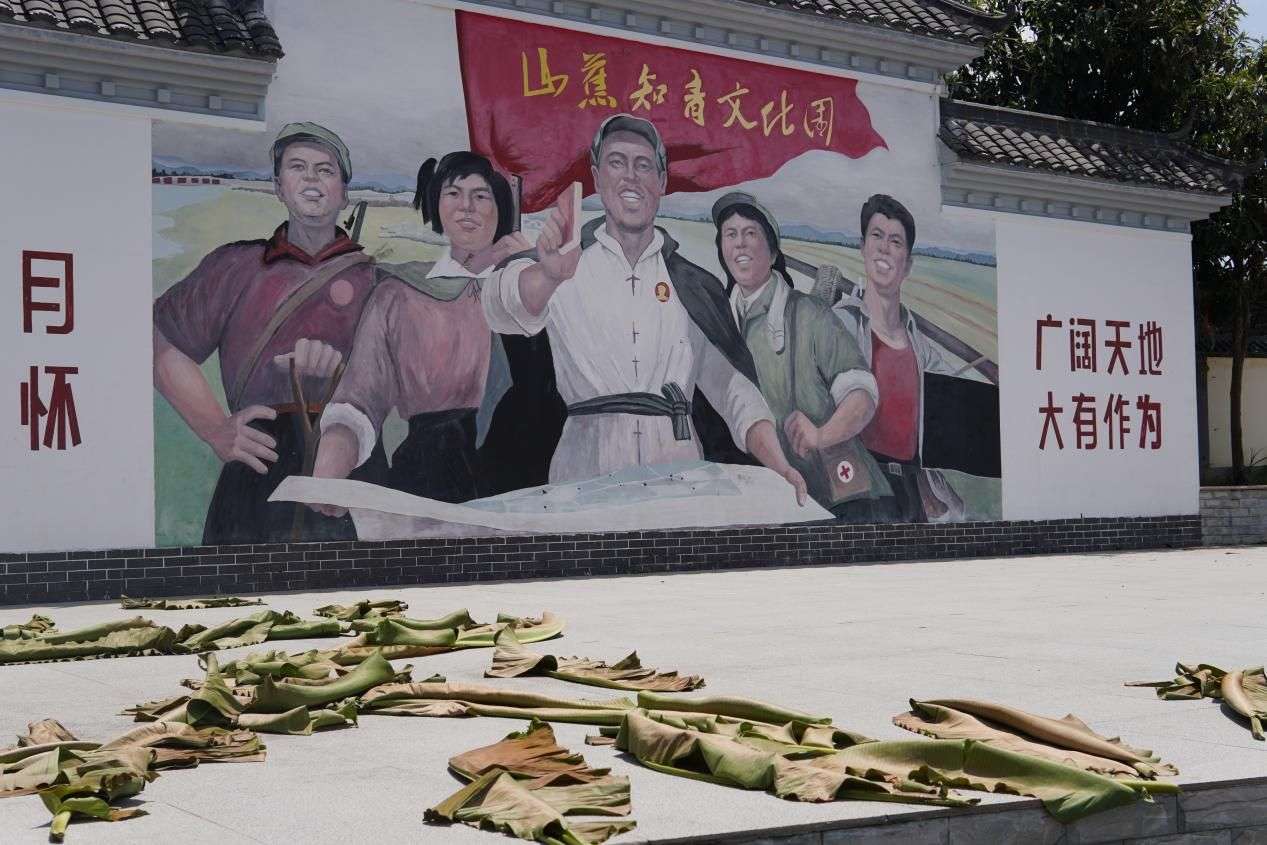 【百千萬(wàn)工程 助力鄉(xiāng)春】承載歷史 展望未來(lái) 繪夢(mèng)山蕉知青
