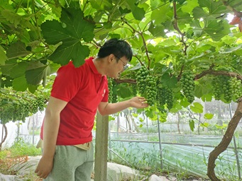 大學(xué)生暑期社會(huì)實(shí)踐參觀之旅與村委授牌儀式