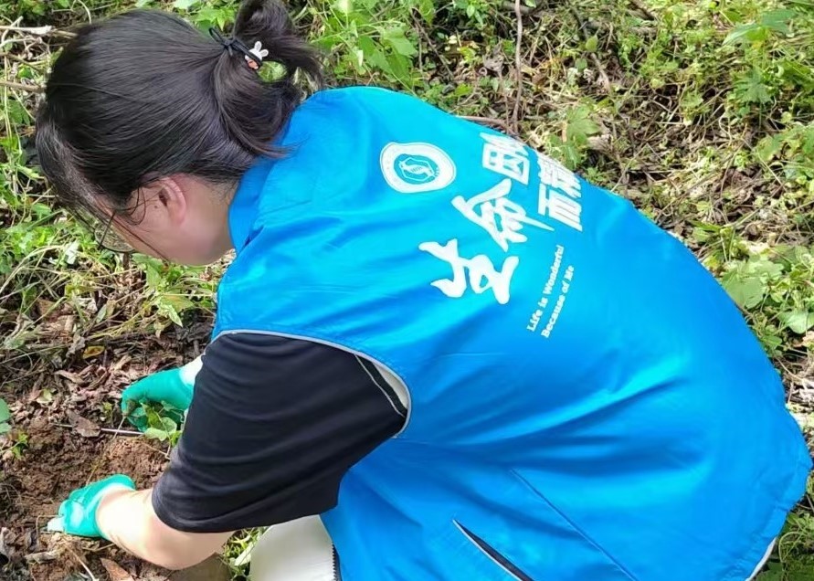 河南師范大學(xué)生命科學(xué)學(xué)院“青入田間”野生山藥種質(zhì)資源調(diào)研團(tuán)隊(duì)赴多地開展采集實(shí)踐活動(dòng)