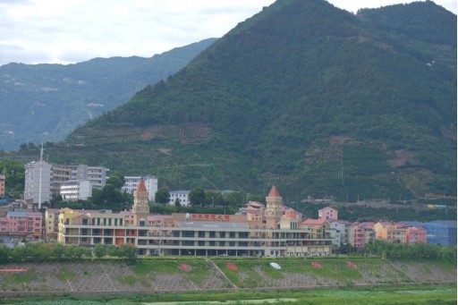 柑為人先，橙待天下
