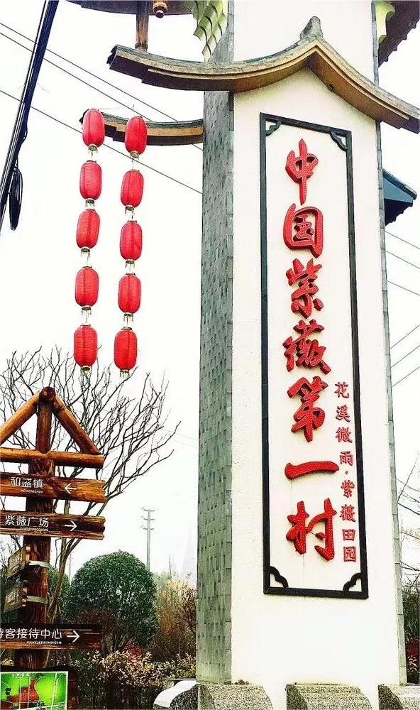 “新路”、“興路”、“心路”——以陳家渡村為例探討