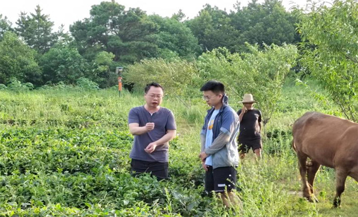 筆耕鄉(xiāng)土察民情，躬身入局謀振興