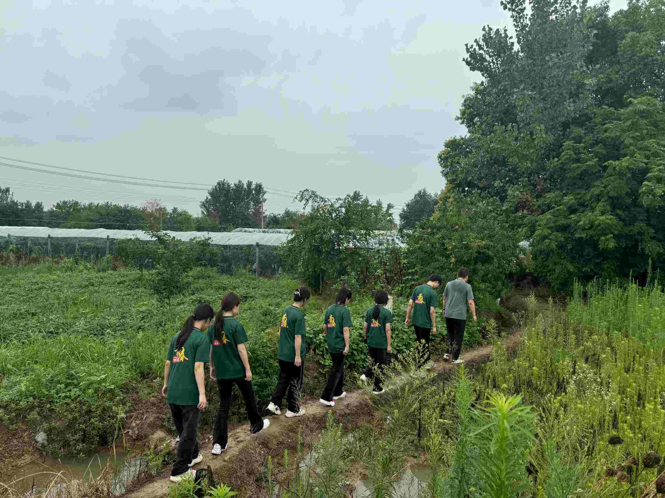 《巢湖學(xué)院：大棚薄膜改革調(diào)研推廣，助力鄉(xiāng)村農(nóng)業(yè)發(fā)展》