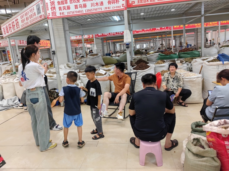 探索中醫(yī)藥知識，弘揚(yáng)中醫(yī)藥文化————英語對外宣傳實(shí)踐調(diào)研團(tuán)隊(duì)在行動