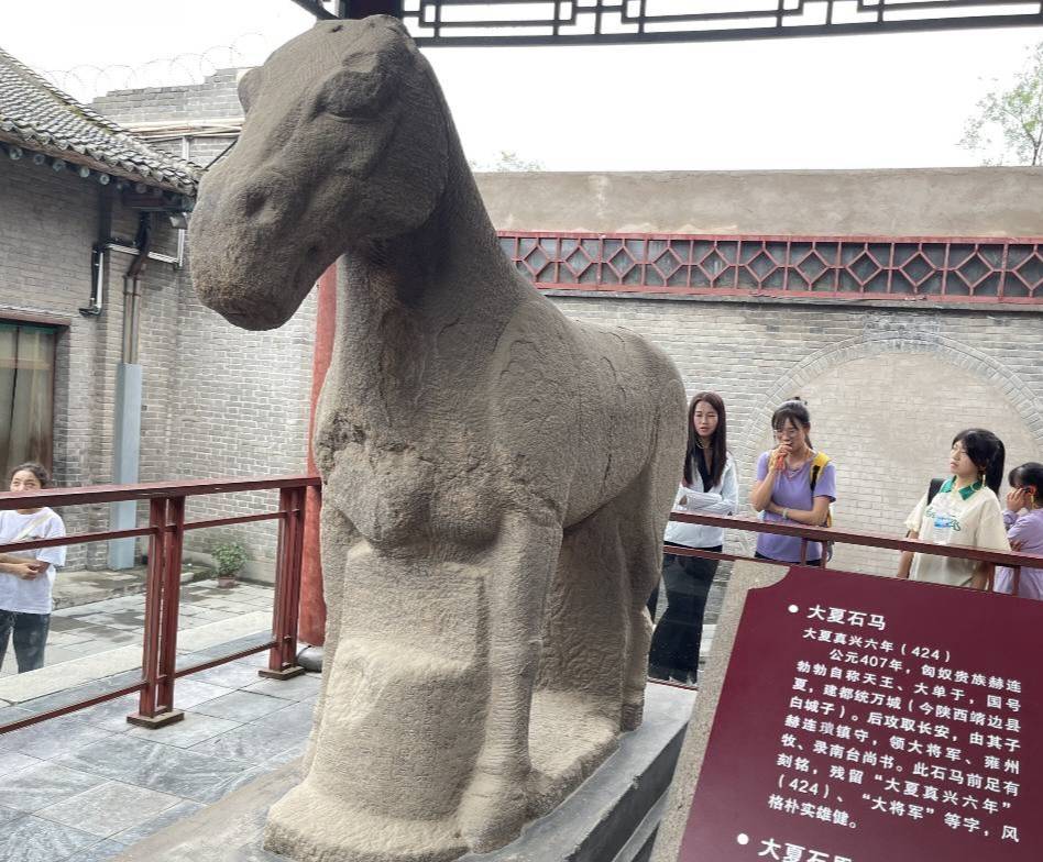 西農學子三下鄉(xiāng)|尋脈中華傳統(tǒng)，助力文化傳承