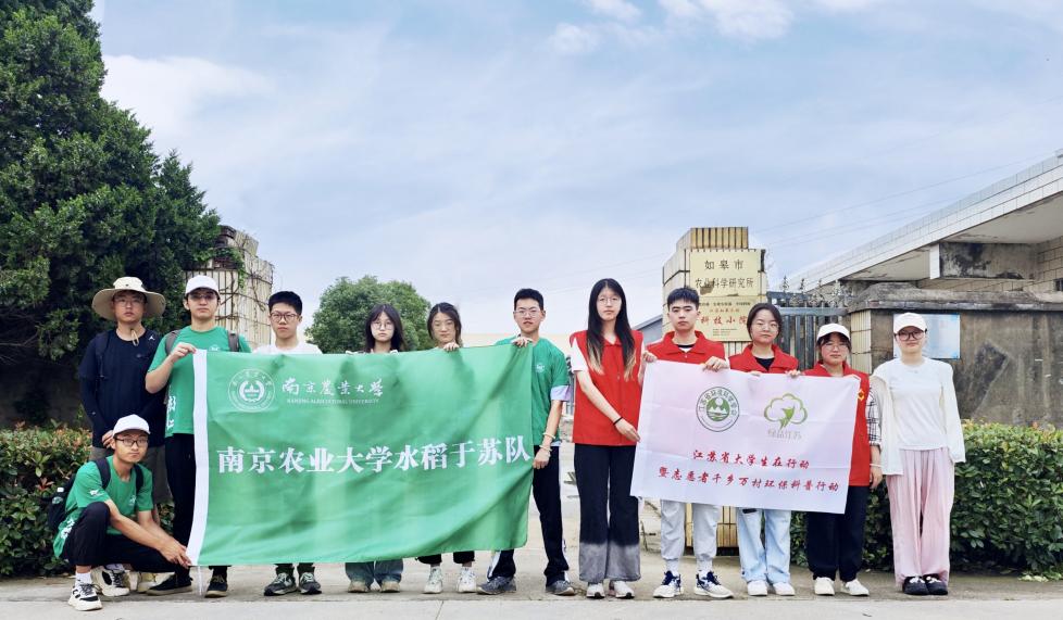 南京農(nóng)業(yè)大學暑期社會實踐：水稻于蘇小分隊赴如皋開展“水稻種植順民意，雉水小院繪豐圖暑期”暑期實踐活動