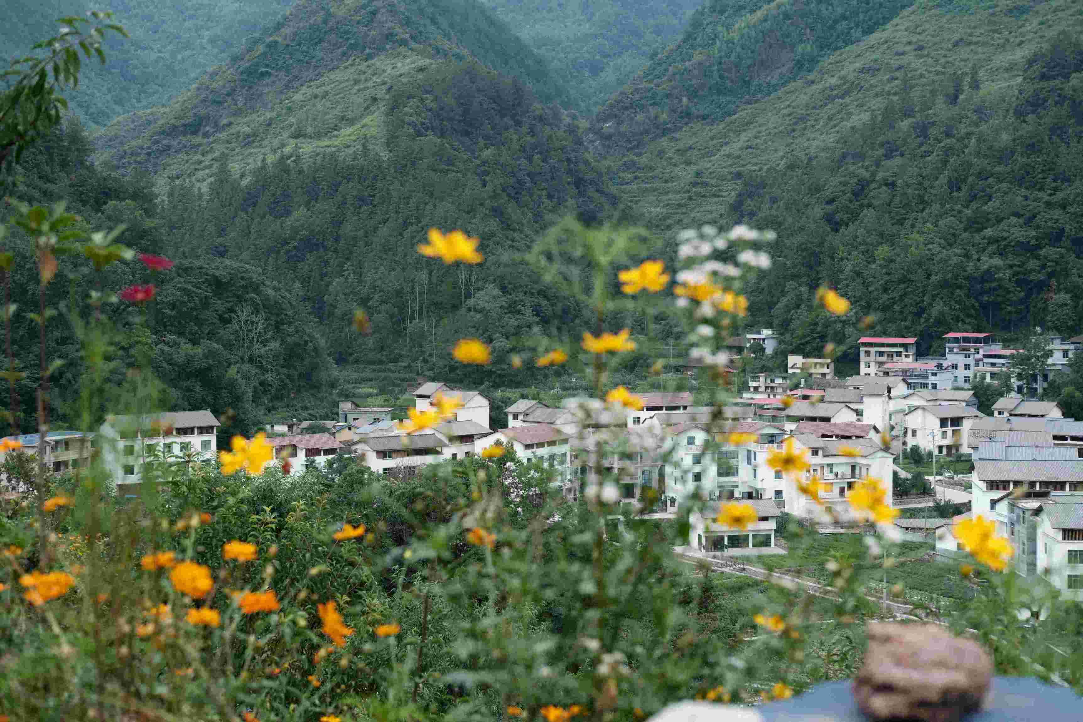 探索生物多樣性新路徑，共繪鄉(xiāng)村振興與可持續(xù)發(fā)展新畫卷  ——記重慶師范大學(xué)生命科學(xué)學(xué)院“耕培啟潤”團(tuán)隊(duì)酉陽之旅