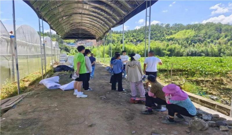 情系百香果，共筑夢想園