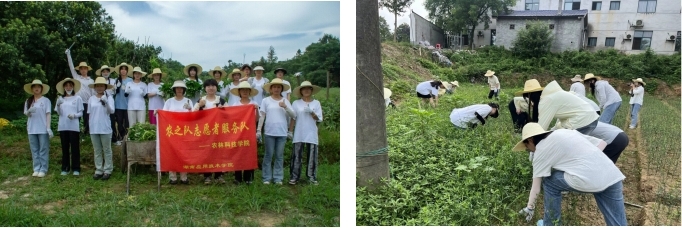 培養(yǎng)勞動情懷與實踐情懷，點亮美好未來