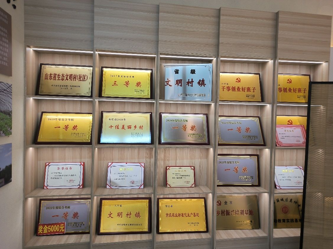 聚焦特色產(chǎn)業(yè)，黨建引領(lǐng)發(fā)展：魯東大學(xué)學(xué)子走進(jìn)棗莊市薛城區(qū)常莊街道“山里紅”特色種植園