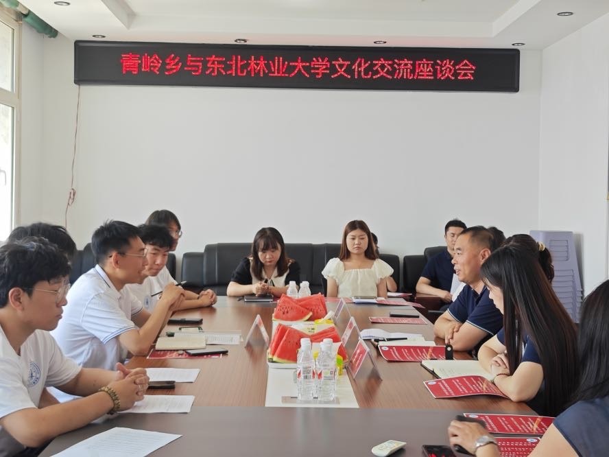 “砼”赴鄉(xiāng)土 星火相筑小隊(duì)黨團(tuán)聯(lián)建會(huì)議順利開(kāi)展