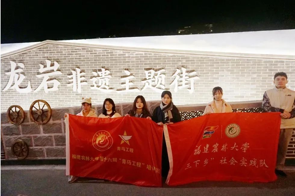 龍巖非遺文化展春節(jié)啟幕，青年學(xué)子助力文化傳承