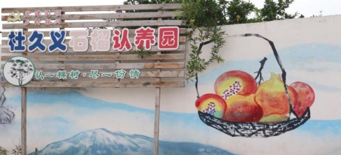 蚌院學子三下鄉(xiāng)：石榴園繪振興圖