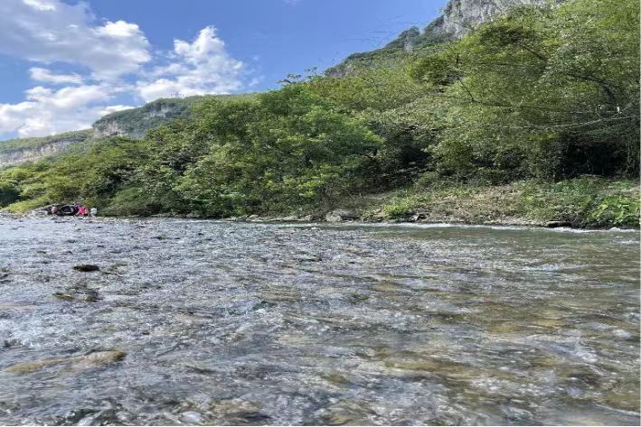 意氣風(fēng)發(fā)擔使命 勇毅前行向高攀