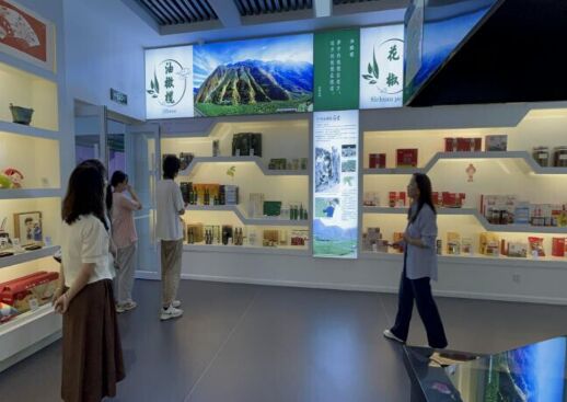 “隴上江南”實(shí)踐團(tuán)踏足隴南電商尋蹤跡，一線調(diào)研實(shí)踐求真
