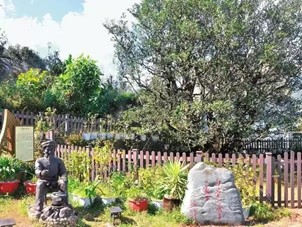 茶脈傳承·文化兩創(chuàng)｜哲社學(xué)院“星火”黨員先鋒隊(duì)赴云南省臨滄市開展暑期專項(xiàng)實(shí)踐