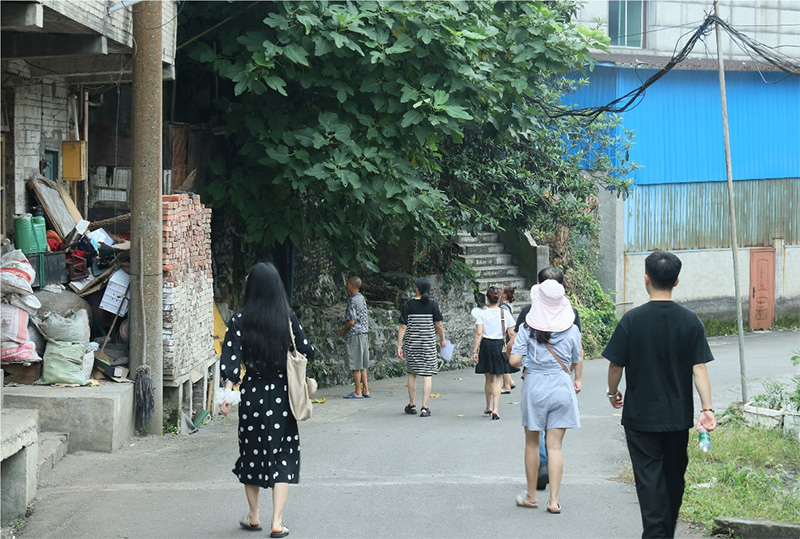 杉木樹下話振興，德田村頭繪新景——西財學(xué)子三下鄉(xiāng)調(diào)研紀(jì)實