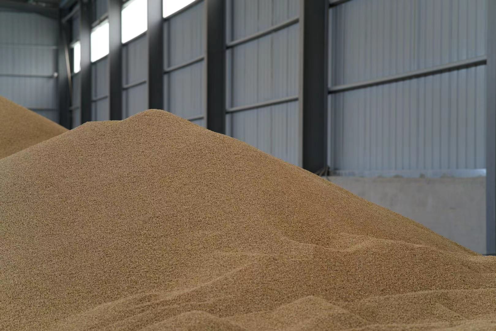 走進(jìn)小麥加工基地，感受糧食的珍貴與科技的魅力