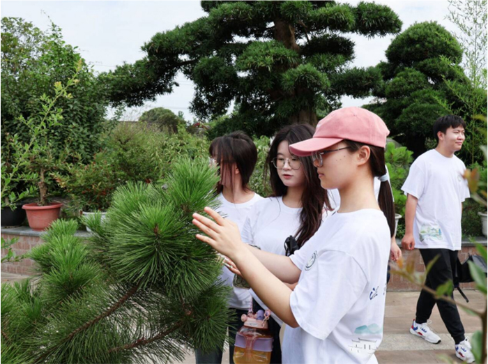 聚焦成都世園會(huì)溫江分會(huì)場(chǎng)，賦能非遺盆景產(chǎn)業(yè)發(fā)展