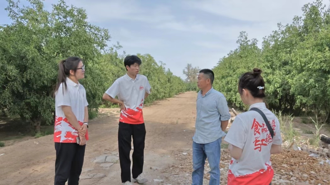 塔大學(xué)子三下鄉(xiāng)|強(qiáng)國必先強(qiáng)農(nóng)，農(nóng)強(qiáng)方能國強(qiáng)