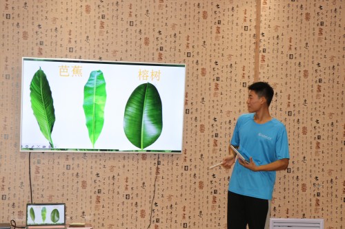 探索植物奧秘，領(lǐng)略環(huán)保魅力