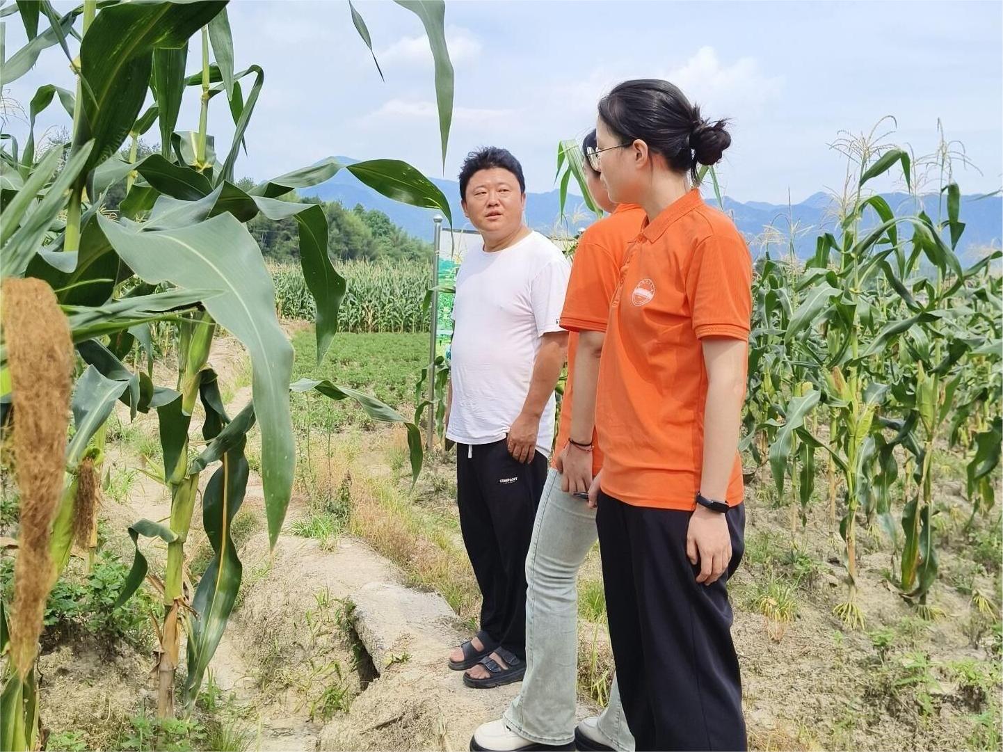 合肥工業(yè)大學(xué)學(xué)子三下鄉(xiāng)：長安宜居夢，和美鄉(xiāng)村興