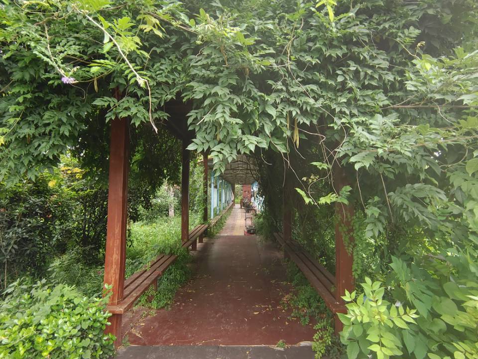 "青春的奉獻(xiàn)：李順雨同學(xué)暑期支教夢(mèng)，點(diǎn)燃母校東方寄宿學(xué)校學(xué)子心"