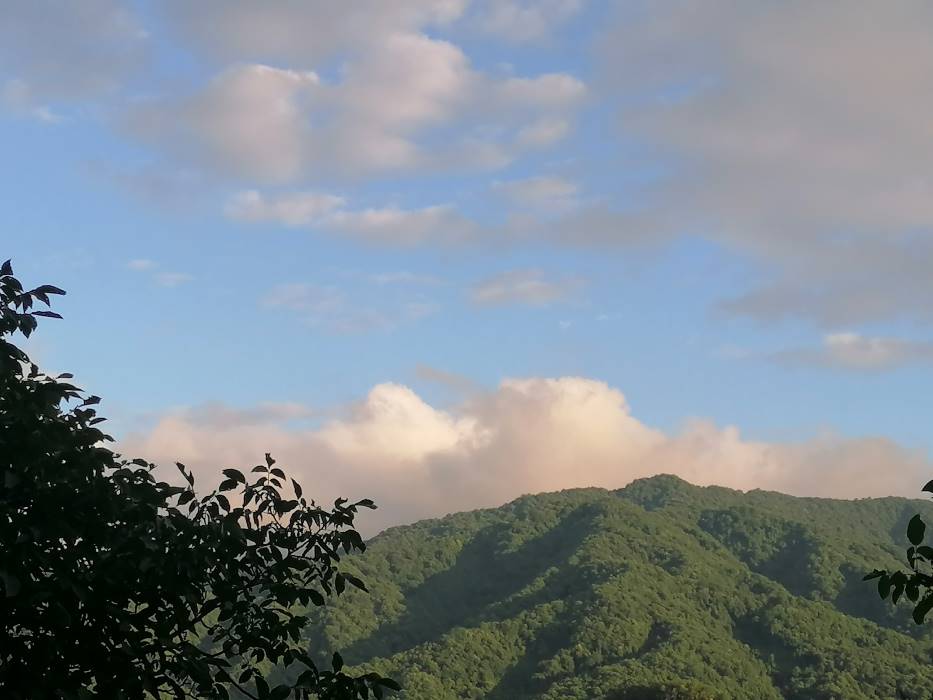 穿梭千年，文物“活”在當(dāng)下 ——蘇州大學(xué)“哲學(xué)+”實(shí)踐團(tuán)走進(jìn)天水市仙人崖石窟